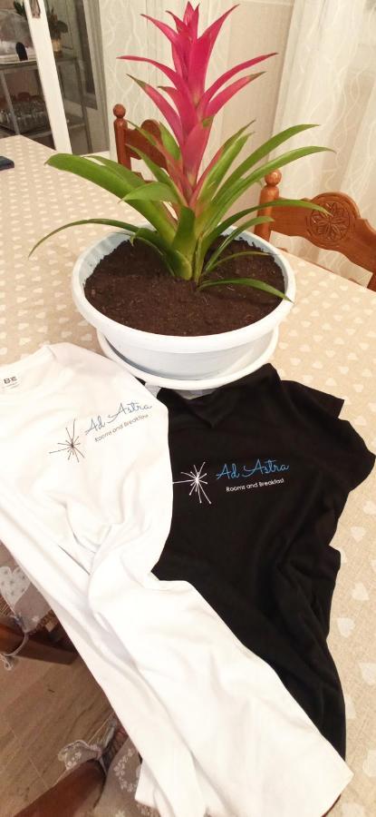 Ad Astra Rooms Равена Екстериор снимка